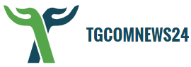 TGcomnews24